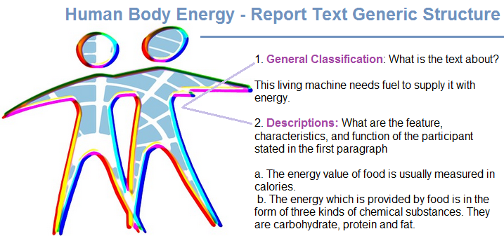 example of report text with generic structure human body energy