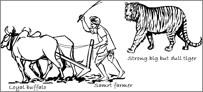 example of narrtive text about samrt farmer and dull tiger