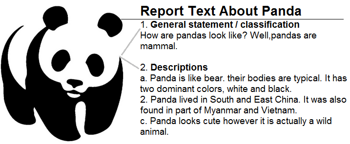 contoh report text tentang hewan panda