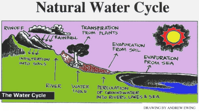 example of explanation text how water cycles