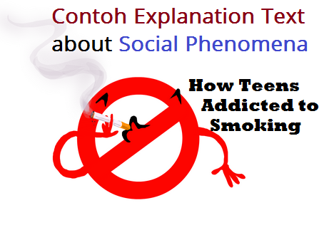 social phenomena explanation text