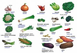 gambar sayuran beserta namanya dalam bahasa inggris